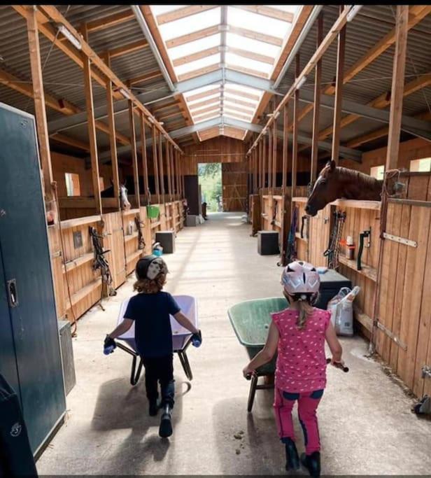Ferienwohnung Beim Pferdehof Neuenstein  Exteriér fotografie
