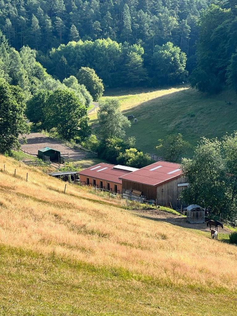 Ferienwohnung Beim Pferdehof Neuenstein  Exteriér fotografie